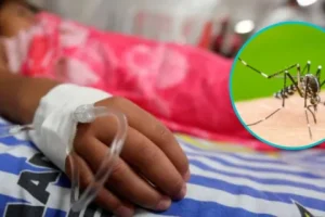 Se registran nueve muertos por dengue; revelan hay mil casos de la enfermedad